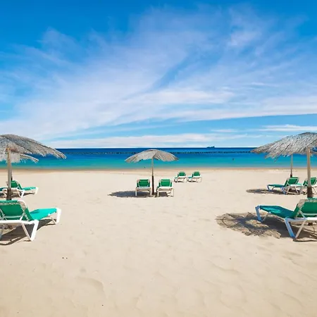 Apto Drago Holidays Santa Cruz de Tenerife